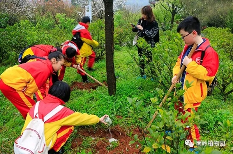 在植树节来临之际，郴州市第五完小组织五年级学生走进南岭植物园开展“关爱自然、护绿我先行”社会实践活动。给树木施肥