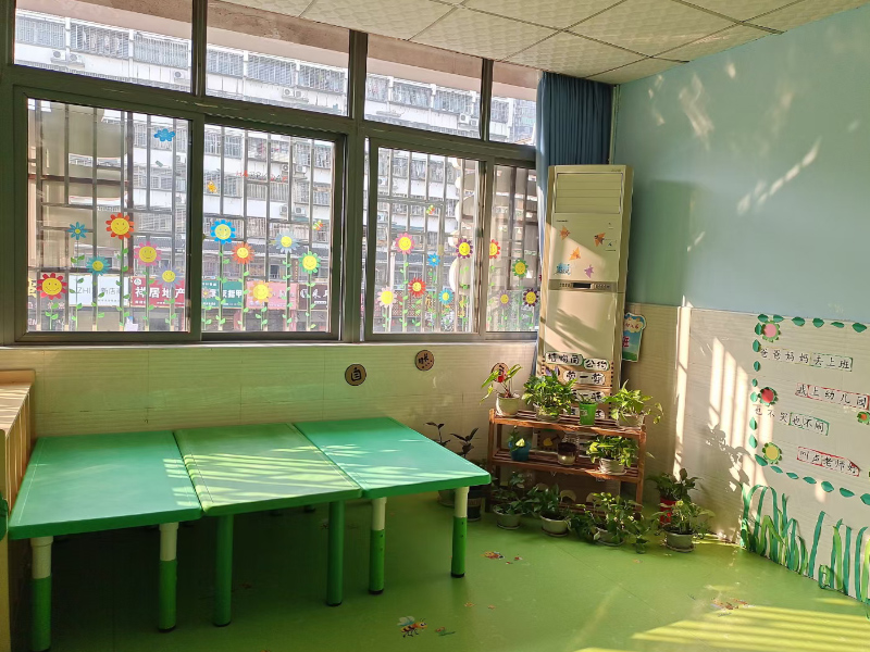 郴州市北湖区喜羊羊幼儿园活动室绿植