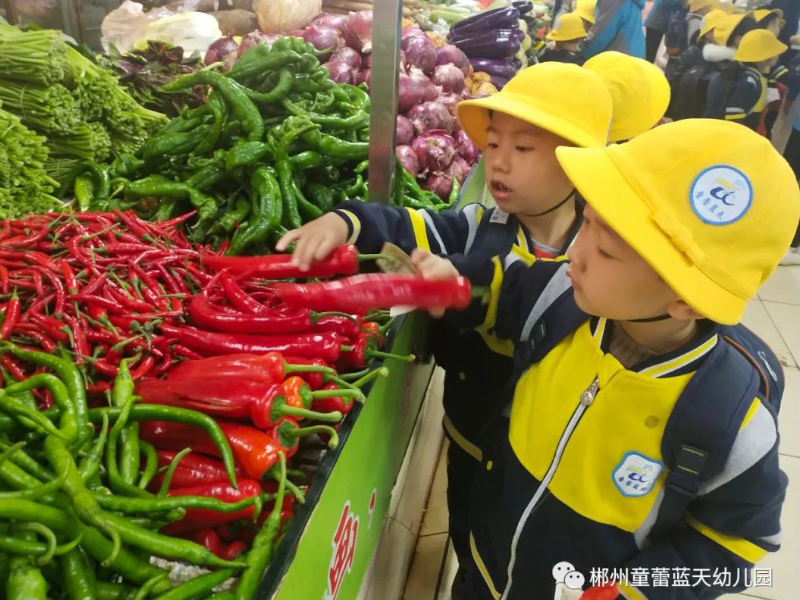 童蕾蓝天幼儿园师生风采