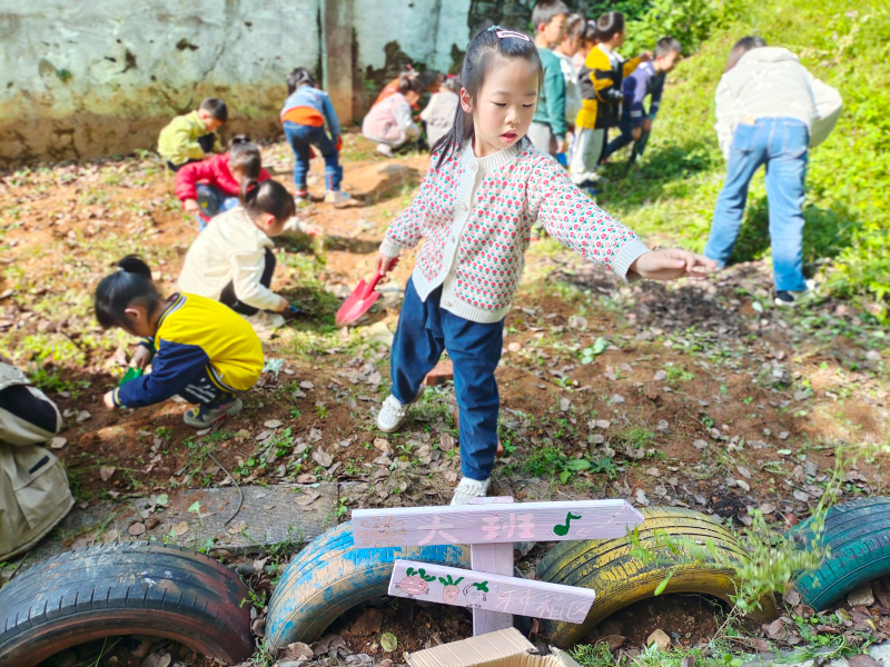 郴州市苏仙区第二十五幼儿园师生风采4