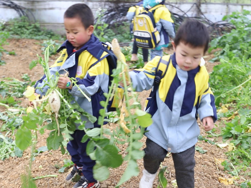 爱蕊幼儿园师生风采劳动课